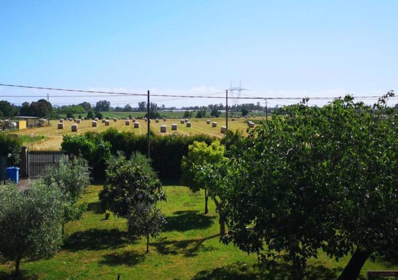 Eco House San Michele Borgo San Michele (Lazio) Exterior foto